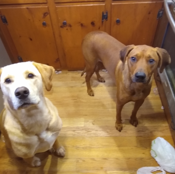 Meet your Posher, Andrew - Picture 1 of 1